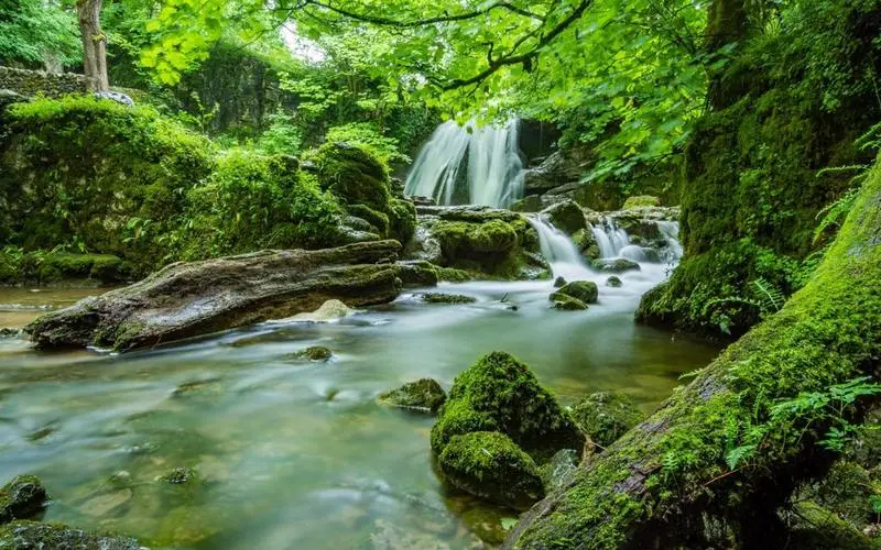 高效高端智慧工厂
